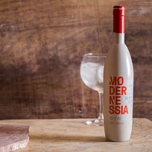 GIN MODERNESSIA